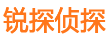 青云谱寻人公司